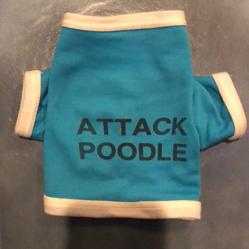 Extra small dog top